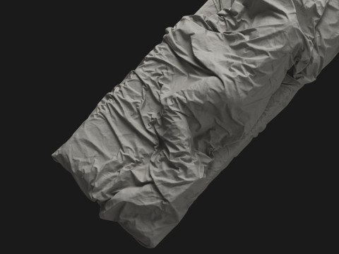 Single Bed with Sleeping Person Model 3D