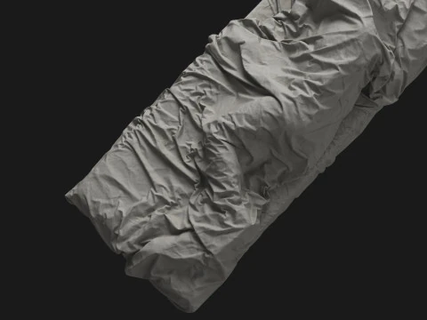 Single Bed with Sleeping Person 3D Model