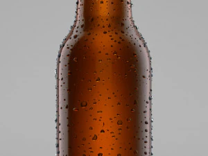 beer bottle 3D Model