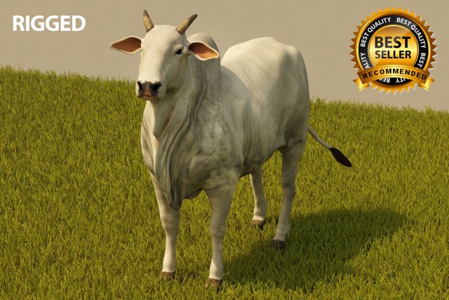 Photo realistic cattle Modelo 3D .c4d .max .obj .3ds .fbx .stl .blend 