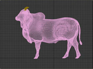 Bovini fotorealistici Modello 3D