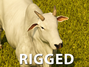 Photo realistic cattle Modelo 3D