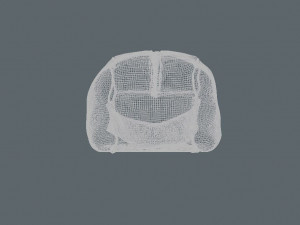 cosmetic hand bag 3D Model