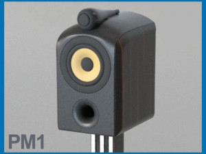 pm1 3D Model