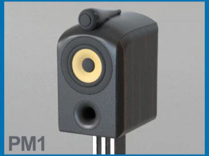 pm1 3D Model