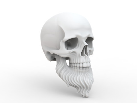3D Printable Stylized Skull with Beard High-Detail Skeleton 3D print model 3D 모델