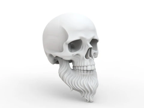 3D Printable Stylized Skull with Beard High-Detail Skeleton 3D print model 3D Model