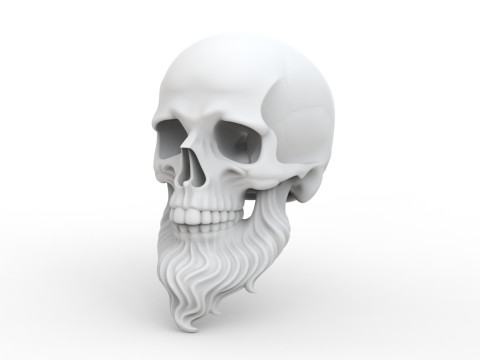 3D Printable Stylized Skull with Beard High-Detail Skeleton 3D print model 3D 모델