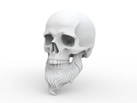 3D Printable Stylized Skull with Beard High-Detail Skeleton 3D print model 3D Model
