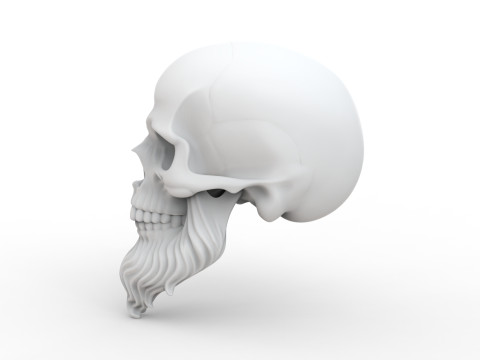 3D Printable Stylized Skull with Beard High-Detail Skeleton 3D print model 3D 모델