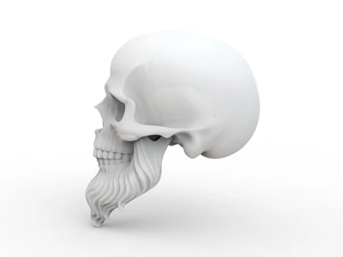 3D Printable Stylized Skull with Beard High-Detail Skeleton 3D print model 3D Model