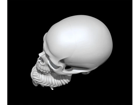 3D Printable Stylized Skull with Beard High-Detail Skeleton 3D print model 3D Model
