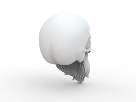 3D Printable Stylized Skull with Beard High-Detail Skeleton 3D print model 3D 모델