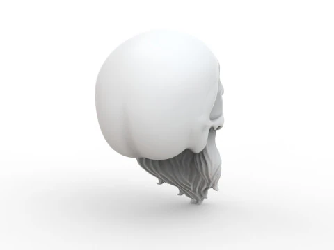 3D Printable Stylized Skull with Beard High-Detail Skeleton 3D print model 3D Model