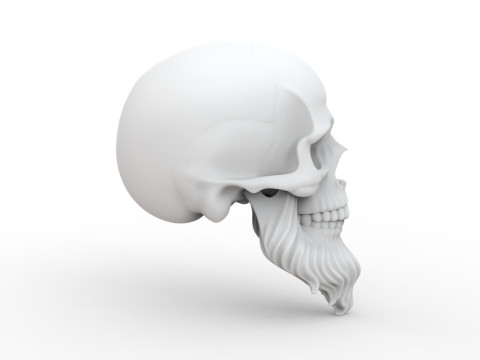 3D Printable Stylized Skull with Beard High-Detail Skeleton 3D print model 3D 모델