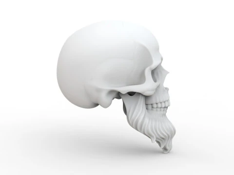 3D Printable Stylized Skull with Beard High-Detail Skeleton 3D print model 3D Model