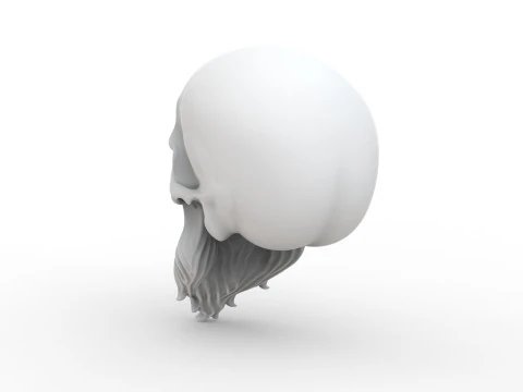 3D Printable Stylized Skull with Beard High-Detail Skeleton 3D print model 3D Model