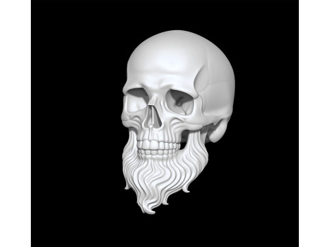 3D Printable Stylized Skull with Beard High-Detail Skeleton 3D print model 3D 모델