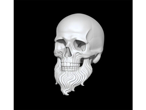 3D Printable Stylized Skull with Beard High-Detail Skeleton 3D print model 3D Model