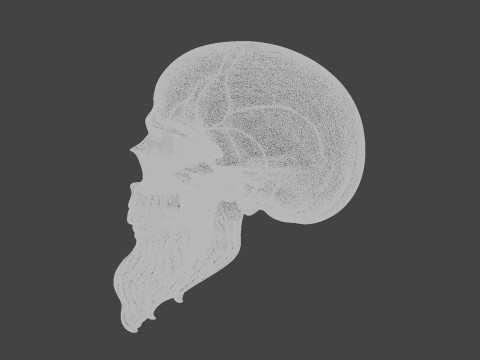 3D Printable Stylized Skull with Beard High-Detail Skeleton 3D print model 3D 모델