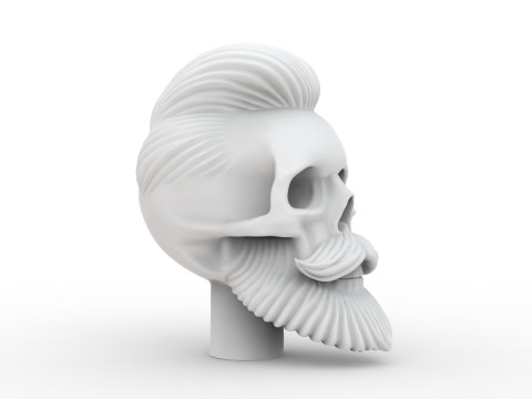 Stylized Skull with Hair and Beard 3D print model 3D मॉडल