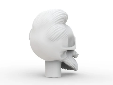 Stylized Skull with Hair and Beard 3D print model 3D Model