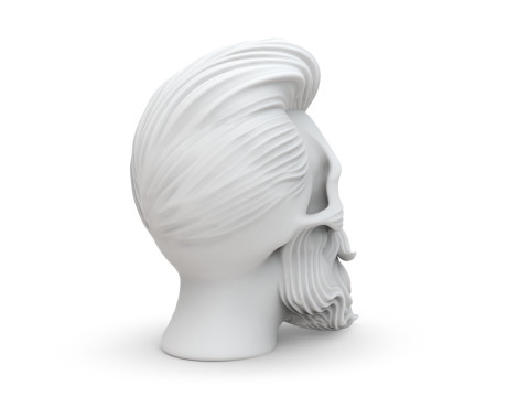 Skull with Flowing Beard and Hair for 3D Printing 3D print model 3D 모델
