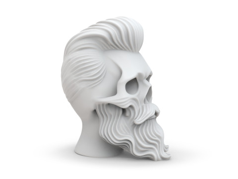 Skull with Flowing Beard and Hair for 3D Printing 3D print model 3D 모델