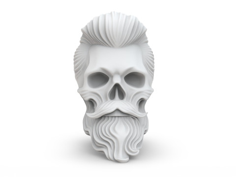 Skull with Flowing Beard and Hair for 3D Printing 3D print model 3D 모델