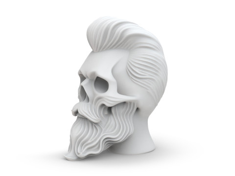 Skull with Flowing Beard and Hair for 3D Printing 3D print model 3D 모델