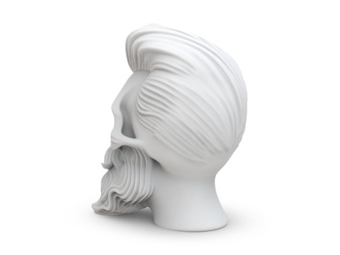 Skull with Flowing Beard and Hair for 3D Printing 3D print model 3D 모델
