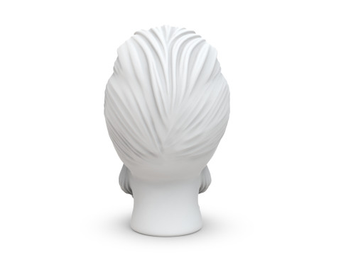Skull with Flowing Beard and Hair for 3D Printing 3D print model 3D 모델