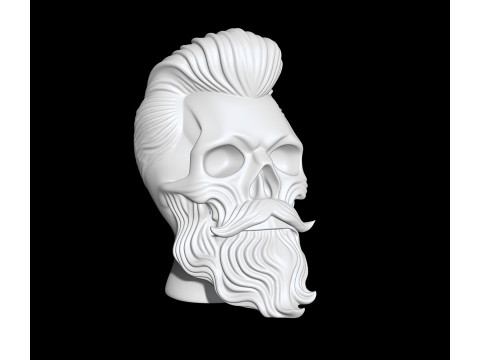 Skull with Flowing Beard and Hair for 3D Printing 3D print model 3D 모델