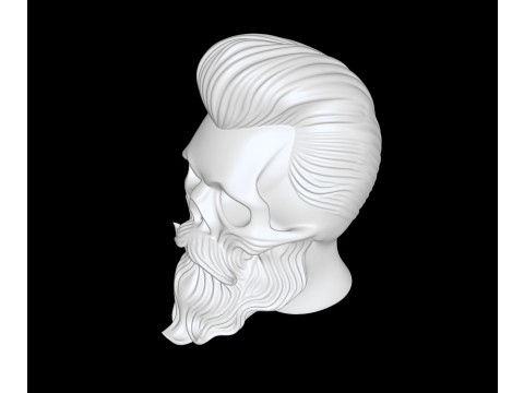 Skull with Flowing Beard and Hair for 3D Printing 3D print model 3D 모델