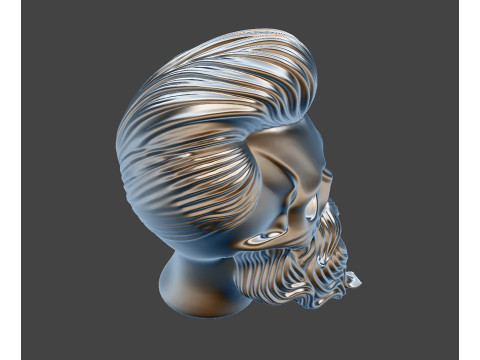 Skull with Flowing Beard and Hair for 3D Printing 3D print model 3D 모델