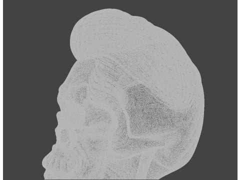 Skull with Pompadour Beard and Mustache 3D print model 3D Model