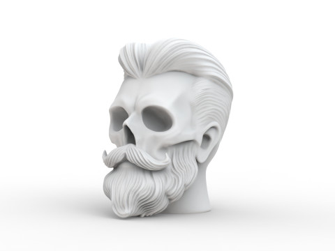 Stylized Skull with Beard and Hair 3D print model 3D Модель