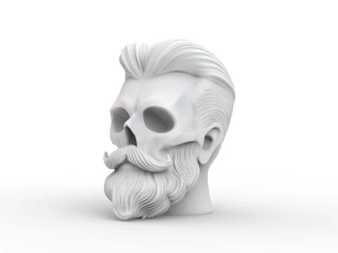 Stylized Skull with Beard and Hair 3D print model 3D Model