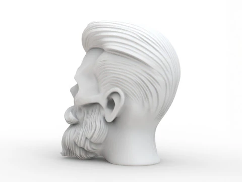 Stylized Skull with Beard and Hair 3D print model 3D Model