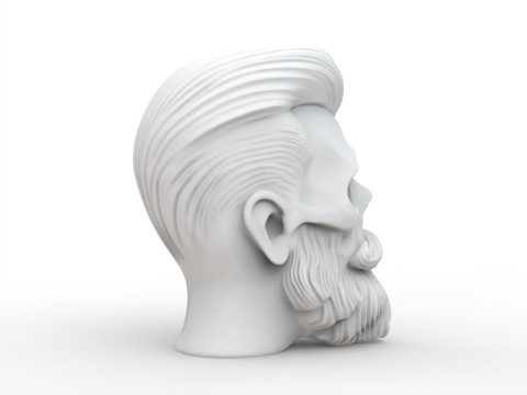 Stylized Skull with Beard and Hair 3D print model 3D Модель