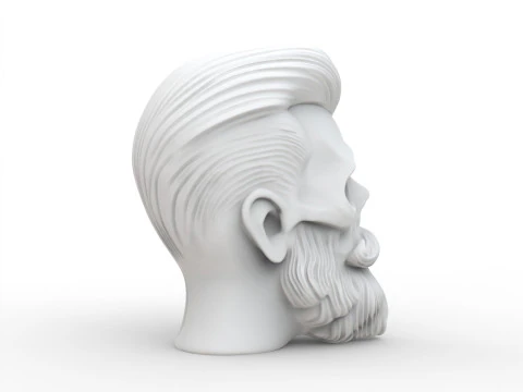 Stylized Skull with Beard and Hair 3D print model 3D Model