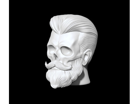 Stylized Skull with Beard and Hair 3D print model 3D Модель