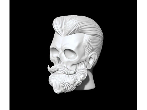 Stylized Skull with Beard and Hair 3D print model 3D Model