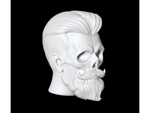 Stylized Skull with Beard and Hair 3D print model 3D Model