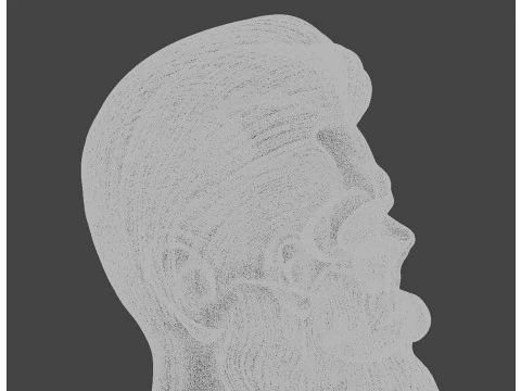 Stylized Skull with Beard and Hair 3D print model 3D Model