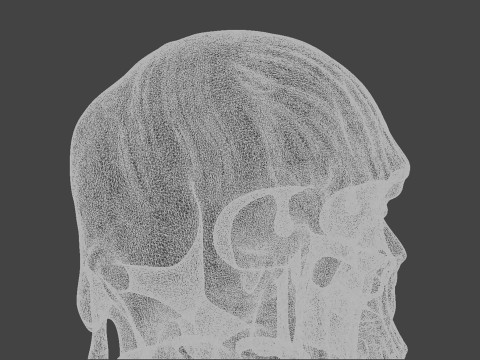 Melting Skull for Printing Horror Decorative Sculpture 3D print model Model Cetak 3D