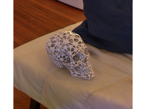 Organic Skull 3D Print model STL Lattice 3D print model 3D 프린트 모델