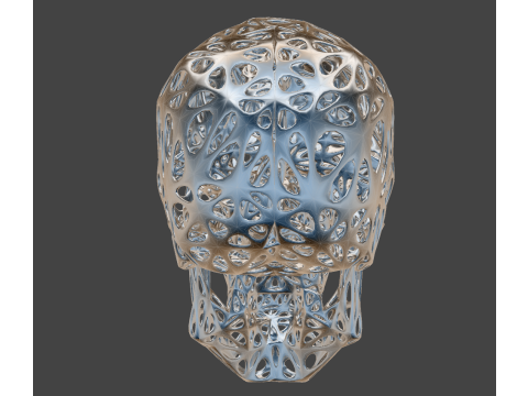 Organic Skull 3D Print model STL Lattice 3D print model 3D 프린트 모델