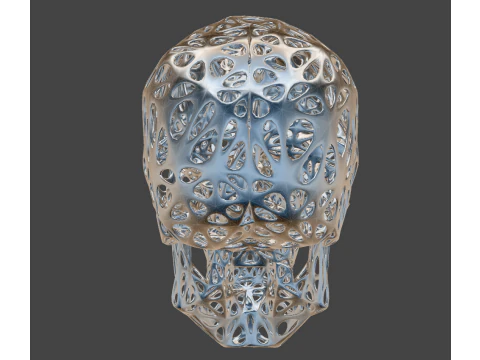 Organic Skull 3D Print model STL Lattice 3D print model 3D Print Model