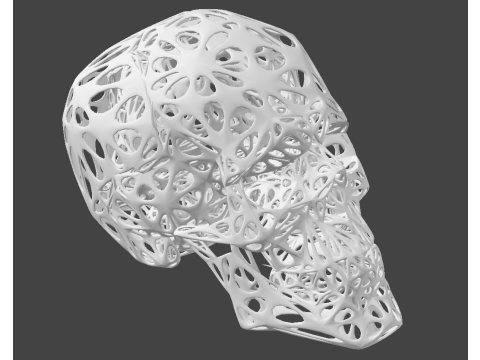 Organic Skull 3D Print model STL Lattice 3D print model 3D 프린트 모델